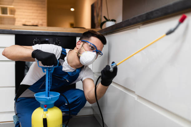 Professional Pest Control in Sweetwater, TX