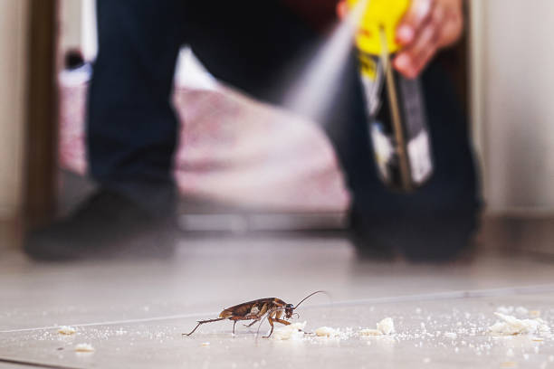 Best Commercial Pest Control Services  in Sweetwater, TX